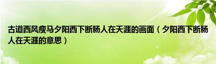 古道西风瘦马夕阳西下断肠人在天涯的画面（夕阳西下断肠人在天涯的意思）