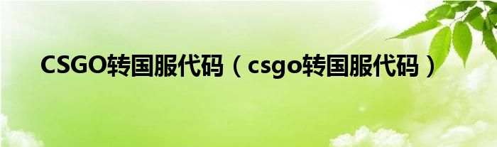 CSGO转国服代码（csgo转国服代码）