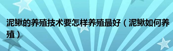 泥鳅的养殖技术要怎样养殖最好（泥鳅如何养殖）