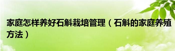 家庭怎样养好石斛栽培管理（石斛的家庭养殖方法）