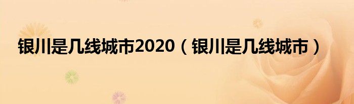 银川是几线城市2020（银川是几线城市）