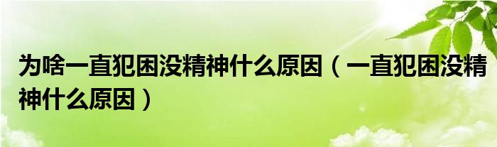 为啥一直犯困没精神什么原因（一直犯困没精神什么原因）