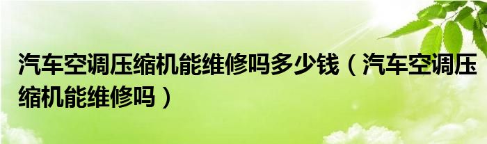 汽车空调压缩机能维修吗多少钱（汽车空调压缩机能维修吗）