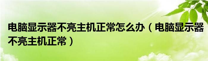 电脑显示器不亮主机正常怎么办（电脑显示器不亮主机正常）