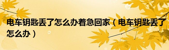 电车钥匙丢了怎么办着急回家（电车钥匙丢了怎么办）