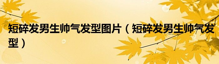 短碎发男生帅气发型图片（短碎发男生帅气发型）