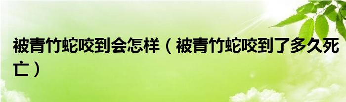 被青竹蛇咬到会怎样（被青竹蛇咬到了多久死亡）