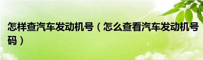 怎样查汽车发动机号（怎么查看汽车发动机号码）