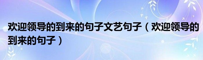 欢迎领导的到来的句子文艺句子（欢迎领导的到来的句子）