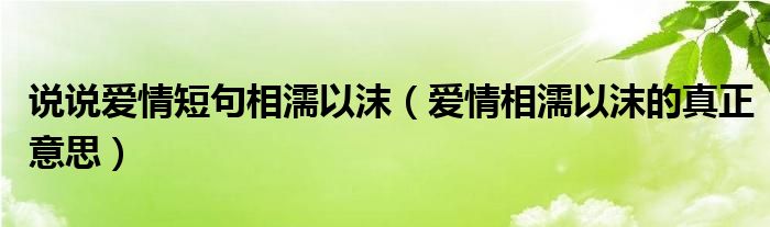 说说爱情短句相濡以沫（爱情相濡以沫的真正意思）