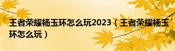 王者荣耀杨玉环怎么玩2023（王者荣耀杨玉环怎么玩）