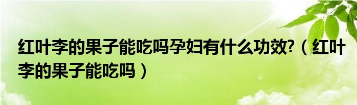 红叶李的果子能吃吗孕妇有什么功效?（红叶李的果子能吃吗）