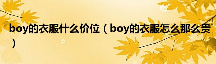 boy的衣服什么价位（boy的衣服怎么那么贵）