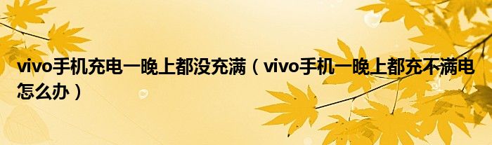 vivo手机充电一晚上都没充满（vivo手机一晚上都充不满电怎么办）