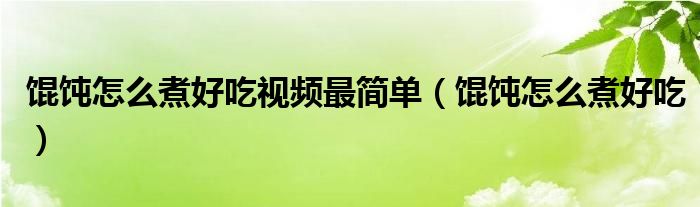 馄饨怎么煮好吃视频最简单（馄饨怎么煮好吃）