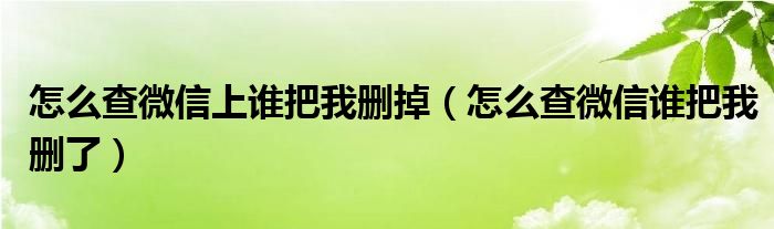 怎么查微信上谁把我删掉（怎么查微信谁把我删了）