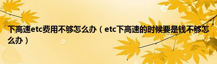 下高速etc费用不够怎么办（etc下高速的时候要是钱不够怎么办）