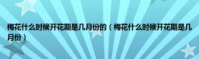 梅花什么时候开花期是几月份的（梅花什么时候开花期是几月份）