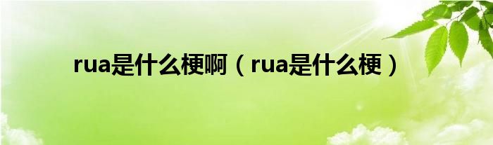 rua是什么梗啊（rua是什么梗）