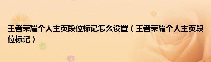 王者荣耀个人主页段位标记怎么设置（王者荣耀个人主页段位标记）