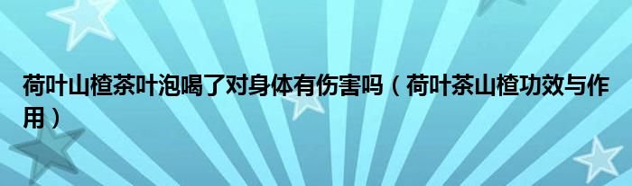 荷叶山楂茶叶泡喝了对身体有伤害吗（荷叶茶山楂功效与作用）