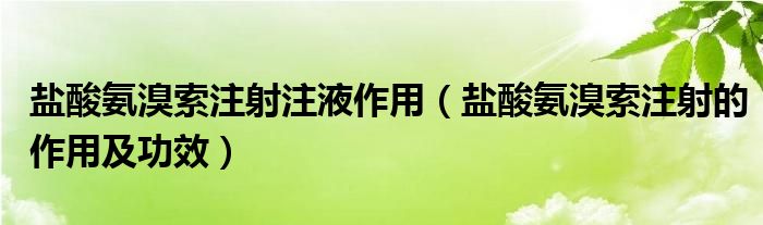 盐酸氨溴索注射注液作用（盐酸氨溴索注射的作用及功效）