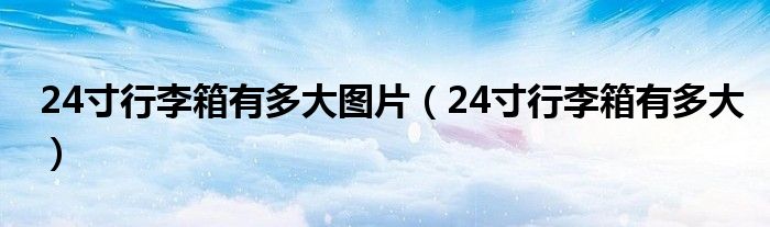 24寸行李箱有多大图片（24寸行李箱有多大）