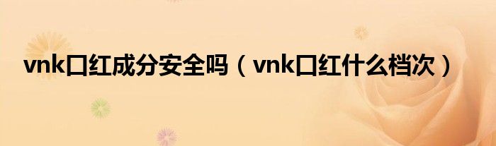 vnk口红成分安全吗（vnk口红什么档次）