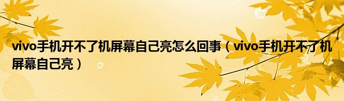 vivo手机开不了机屏幕自己亮怎么回事（vivo手机开不了机屏幕自己亮）