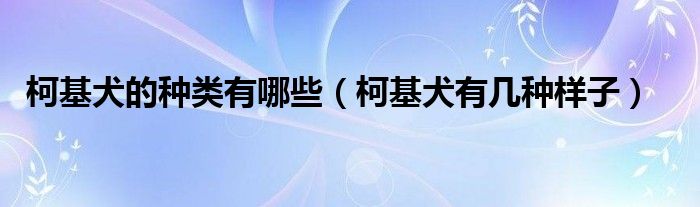 柯基犬的种类有哪些（柯基犬有几种样子）