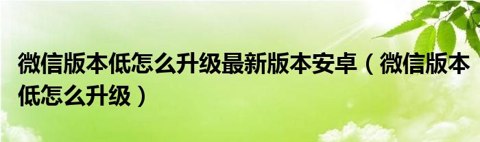 微信版本低怎么升级最新版本安卓（微信版本低怎么升级）