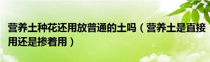 营养土种花还用放普通的土吗（营养土是直接用还是掺着用）