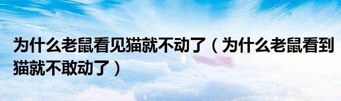 为什么老鼠看见猫就不动了（为什么老鼠看到猫就不敢动了）