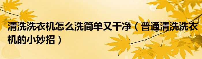 清洗洗衣机怎么洗简单又干净（普通清洗洗衣机的小妙招）