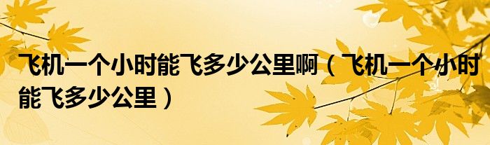 飞机一个小时能飞多少公里啊（飞机一个小时能飞多少公里）