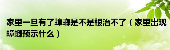 家里一旦有了蟑螂是不是根治不了（家里出现蟑螂预示什么）