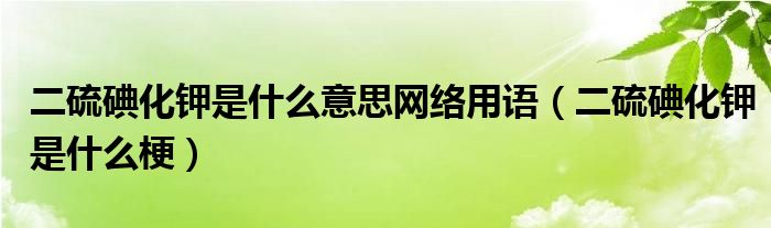 二硫碘化钾是什么意思网络用语（二硫碘化钾是什么梗）