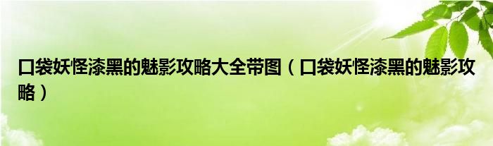 口袋妖怪漆黑的魅影攻略大全带图（口袋妖怪漆黑的魅影攻略）