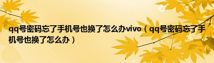 qq号密码忘了手机号也换了怎么办vivo（qq号密码忘了手机号也换了怎么办）