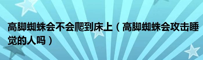 高脚蜘蛛会不会爬到床上（高脚蜘蛛会攻击睡觉的人吗）