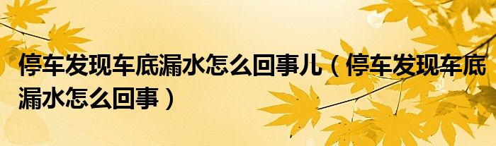 停车发现车底漏水怎么回事儿（停车发现车底漏水怎么回事）