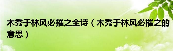 木秀于林风必摧之全诗（木秀于林风必摧之的意思）