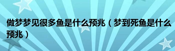 做梦梦见很多鱼是什么预兆（梦到死鱼是什么预兆）