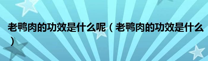 老鸭肉的功效是什么呢（老鸭肉的功效是什么）