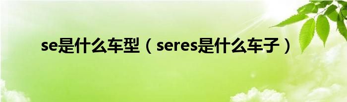 se是什么车型（seres是什么车子）