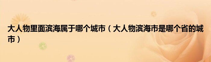 大人物里面滨海属于哪个城市（大人物滨海市是哪个省的城市）