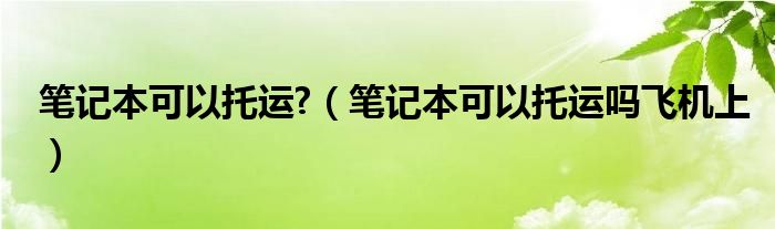 笔记本可以托运?（笔记本可以托运吗飞机上）