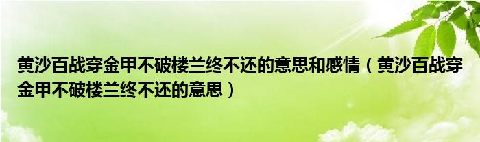 黄沙百战穿金甲不破楼兰终不还的意思和感情（黄沙百战穿金甲不破楼兰终不还的意思）