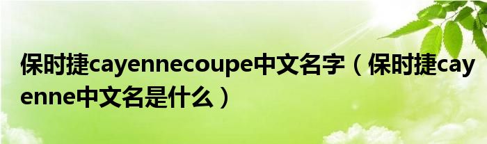 保时捷cayennecoupe中文名字（保时捷cayenne中文名是什么）