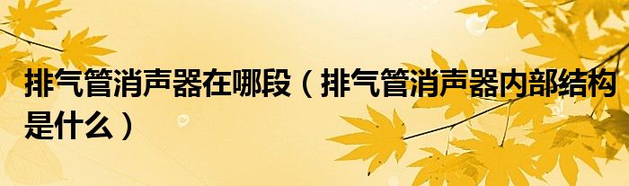 排气管消声器在哪段（排气管消声器内部结构是什么）